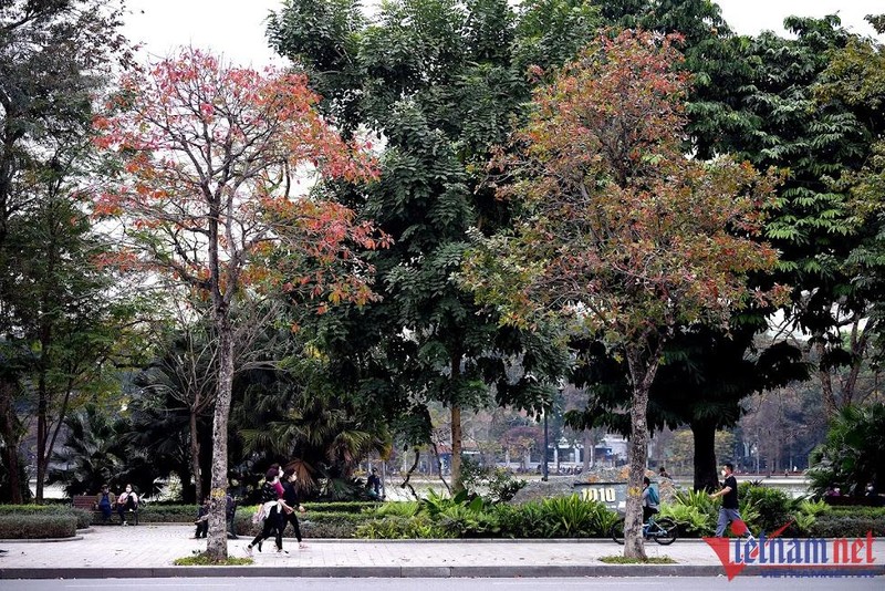 Du bao thoi tiet ngay 19/5: Mien Bac troi de chiu, mien Trung mua giong